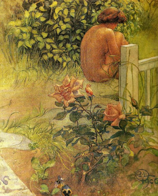 Carl Larsson ros och rygg-en flickrygg och en ros oil painting image